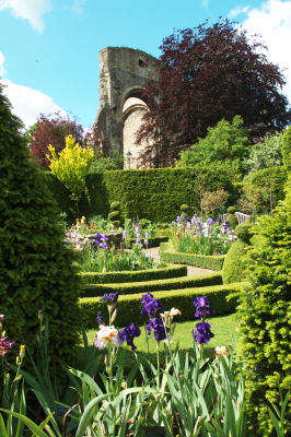 Abbey-house Garden, les ruines