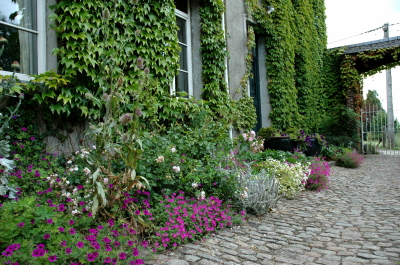 lierre-sur-facade